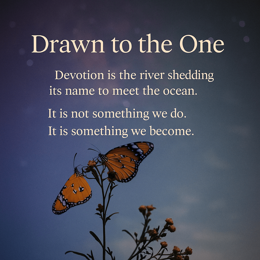 drawn to the One